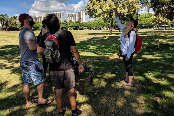 the-east-waikiki-walking-tour