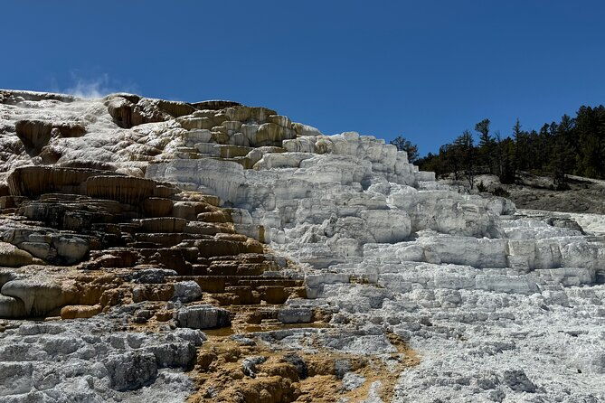 the-grand-yellowstone-3-day-private-experience-from-cody-wyoming