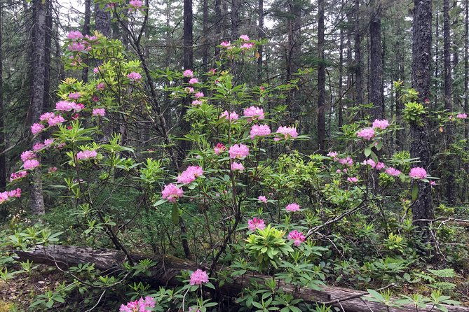 the-hood-columbia-loop-timberline-orchards-and-waterfalls-2