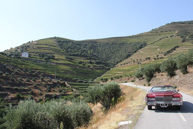 the-luxury-douro-tour-2