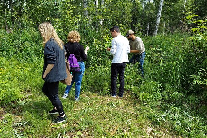 the-reindeer-grove-homestead-tour-and-forage-2