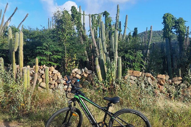 the-spanish-lagoon-gold-mills-nature-heritage-e-bike-aruba