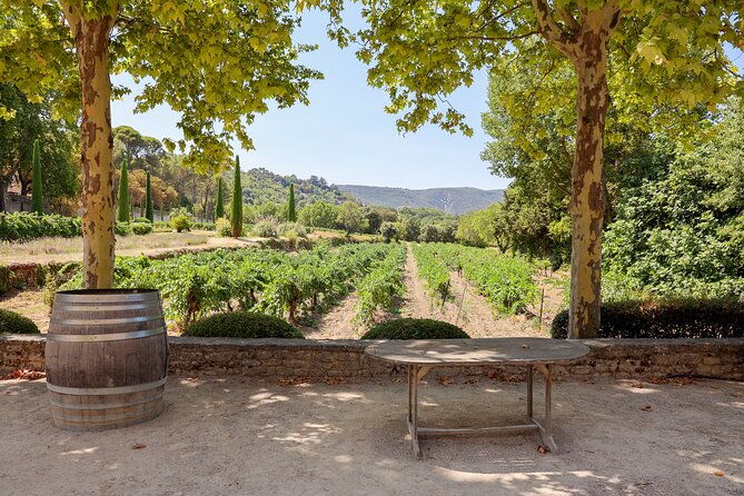 the-wines-of-the-luberon-the-chateau-de-lourmarin-bastide-du-laval-olive-oil