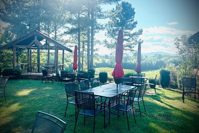 three-vineyards-half-day-private-wine-tour-from-asheville