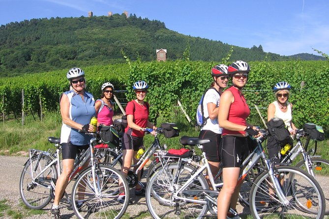 through-alsace-vineyards-and-wine-villages-private-bike-tour