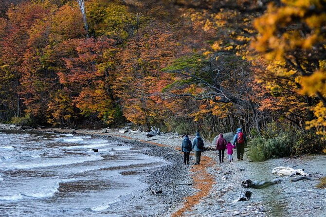 tierra-del-fuego-national-park-pm-with-dinner-included