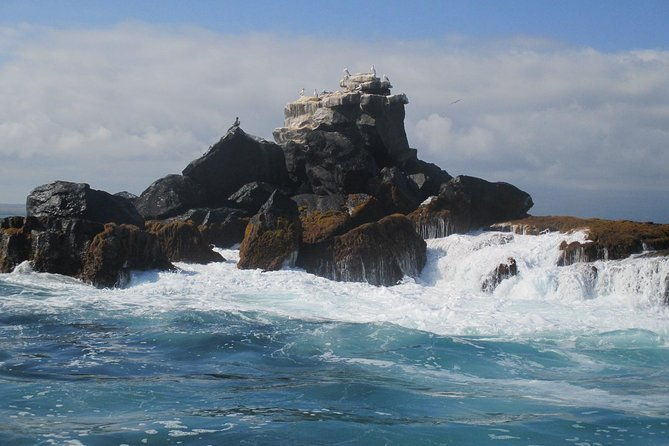 tintoreras-islet-tour-from-isabela-hiking-snorkeling