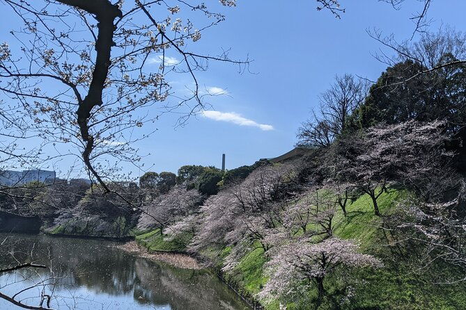 tokyo-imperial-palace-higashi-gyoen-wellness-tour