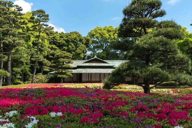 tokyo-private-customizable-day-tour-with-english-speaking-driver