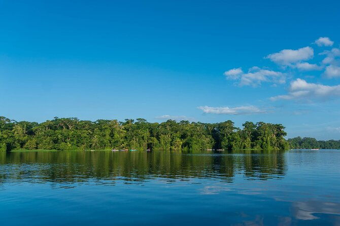 tortuguero-canoe-tour-night-jungle-or-spawn-turtle