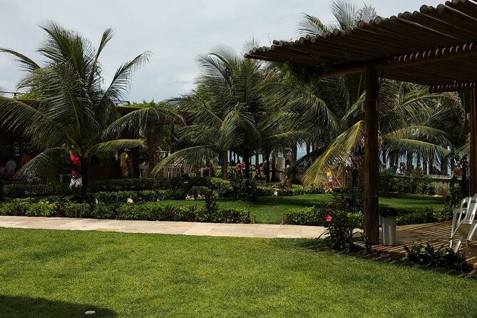 tour-3-beaches-in-1-day-morro-branco-praia-das-fontes-and-canoa-quebrada