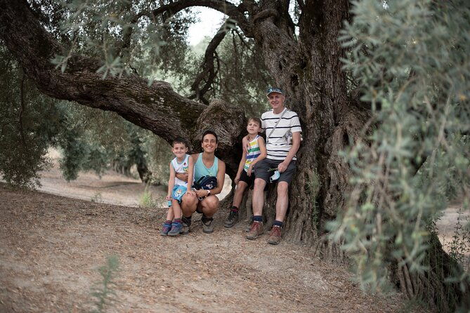 tour-of-olive-grove-and-oil-mills-with-oil-tasting