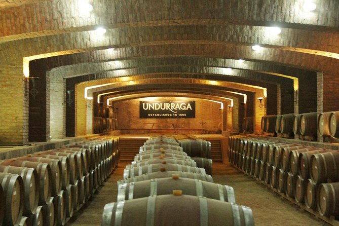 traditional-undurraga-tour