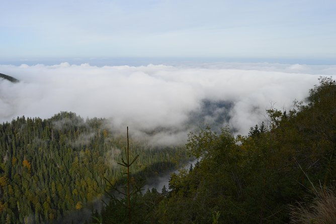 transfagarasan-vidraru-and-poenari-fortress-tour-from-sibiu