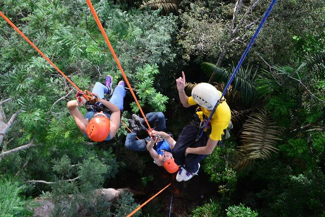 tree-climbing-in-the-amazon