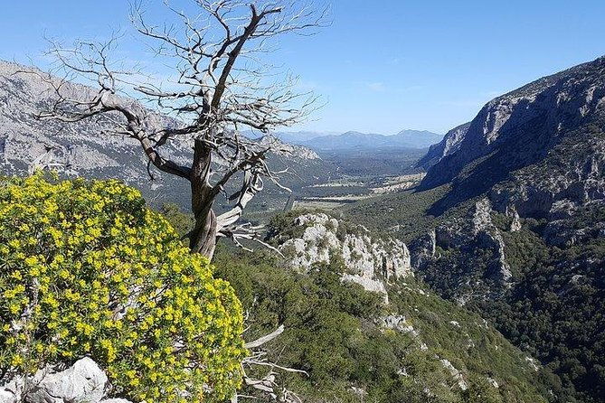trekking-to-monte-tiscali-oliena
