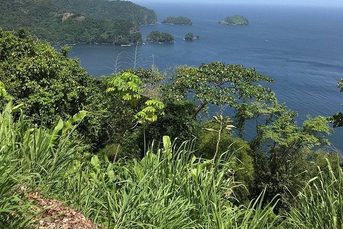 trinidad-highlights-and-scenic-drive-tour