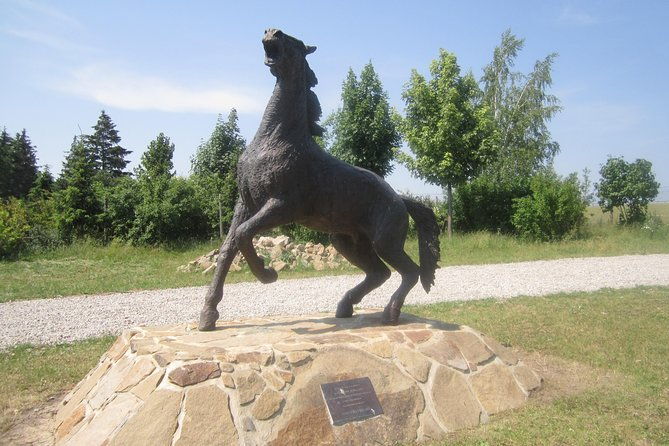 trip-to-the-austerlitz-battlefield-near-brno-in-the-czech-republic