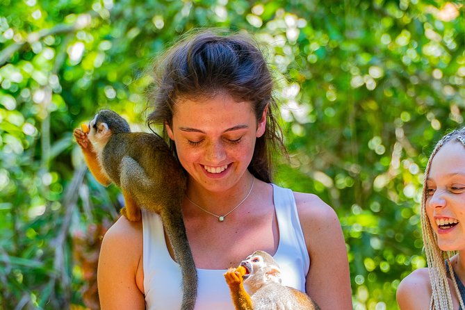 triple-fun-monkeyland-damajagua-waterfalls-buggies-from-puerto-plata