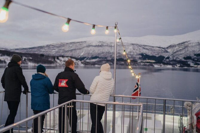 tromso-northern-lights-and-wilderness-evening-catamaran-cruise