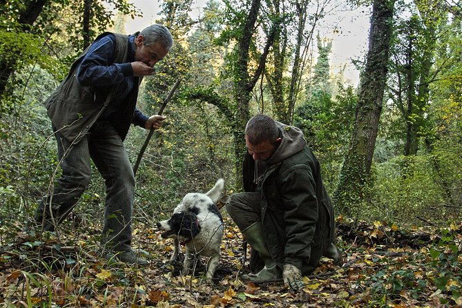 truffle-hunt-wine-tasting