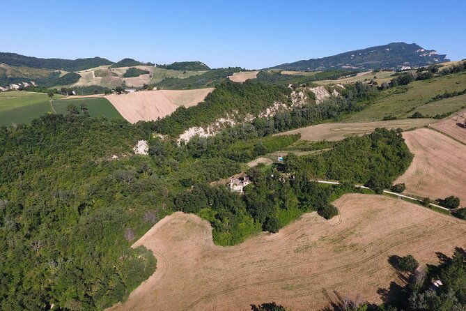 truffle-hunting-and-handmade-pasta-in-ascoli-piceno