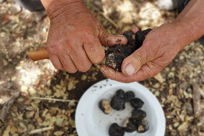 truffle-hunting-culinary-wine-celebration-from-heraklion