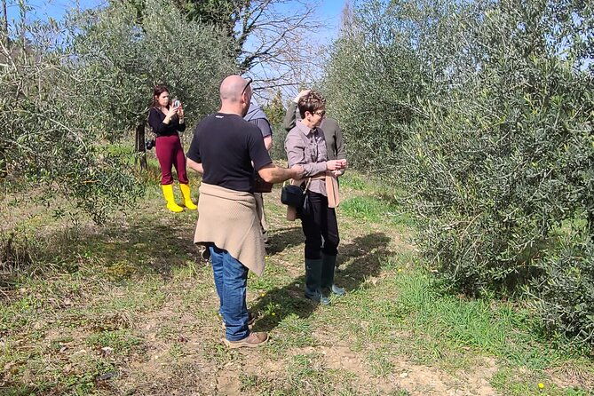 truffle-hunting-in-chianti-pasta-class-and-lunch