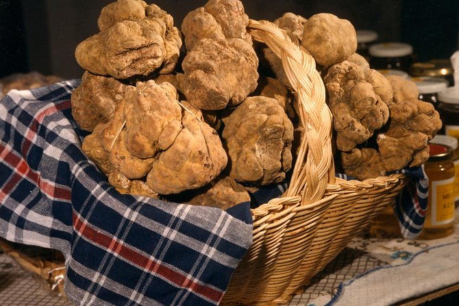 truffle-hunting-with-tasting-included-umbria-italy