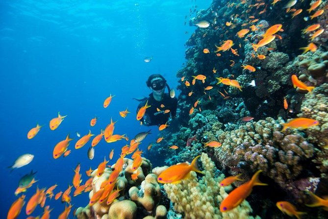 try-scuba-dive-baptism-of-the-sea