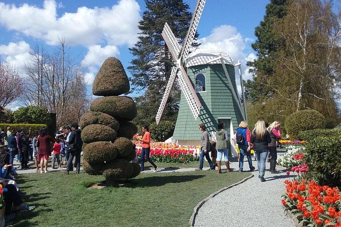 tulip-festival-and-skagit-valley-tour
