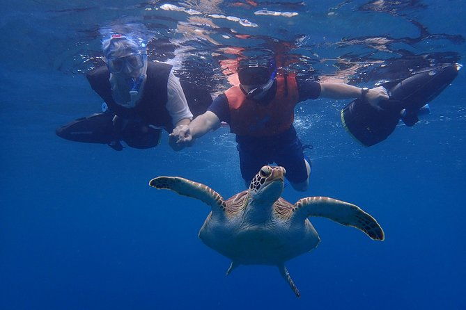 turtle-beach-power-snorkeling-adventure