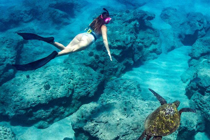 turtle-gardens-west-maui-snorkel-tour