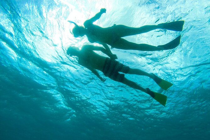 turtle-snorkel-sail-on-buck-island-from-frenchmans-reef