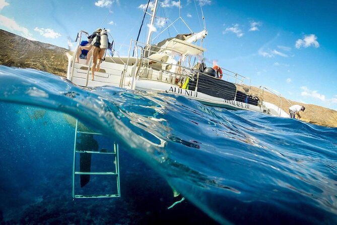 turtles-tacos-luxury-catamaran-snorkel