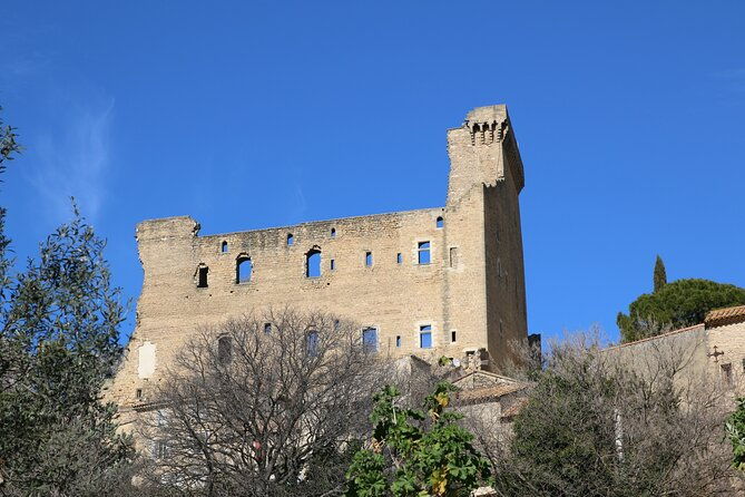 two-intensive-days-discover-exceptional-wines-of-the-rhone-valley