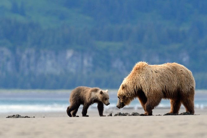 ultimate-alaskan-adventure-ocean-wildlife-to-interior-wilderness-9-day-8-nights