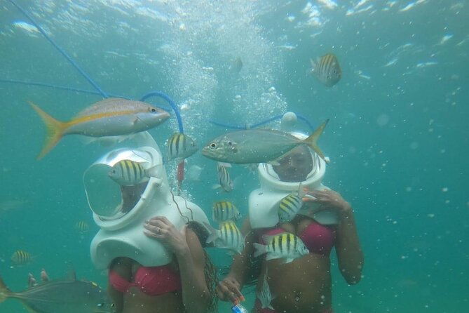 underwater-sea-trek-in-san-juan-explore-beneath-the-waves