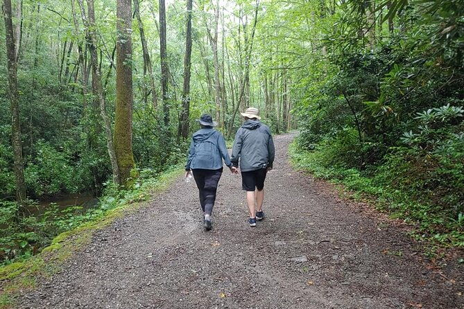 unplugged-waterfall-hike-in-the-smokies
