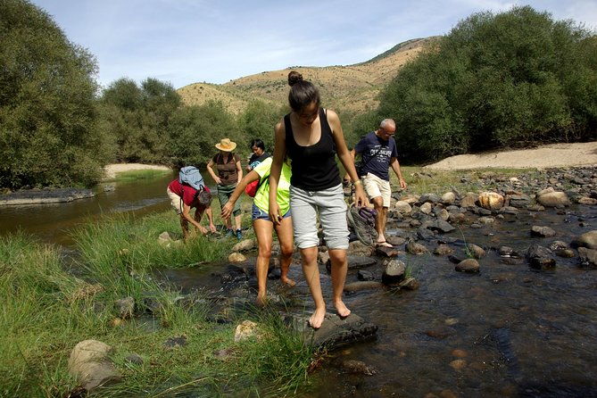 upper-douro-walk-winetour