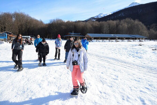 ushuaia-white-adventure-in-sleighs-with-huskys