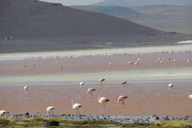 uyuni-salt-flats-3-day-tour-from-atacama-private-room-available