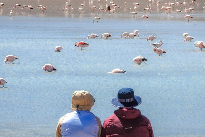 uyuni-salt-flats-and-colored-lagoons_3-days_shared-tour_english-speaking-guide