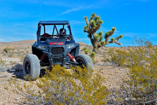 vegas-desert-rzr-adventure-w-lunch-at-the-historic-pioneer-saloon