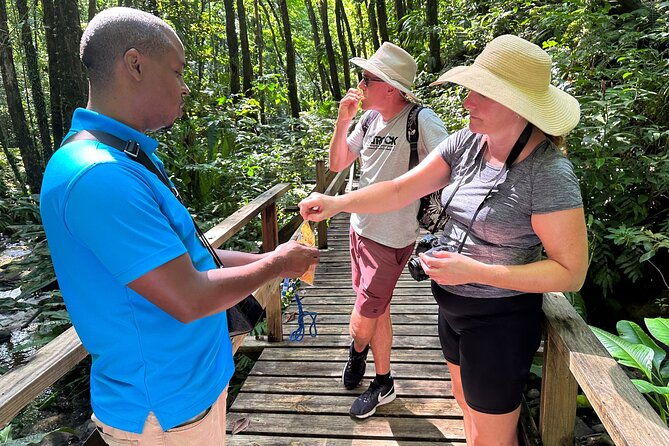 vermont-nature-trail-with-topdawg-taxi-and-tours