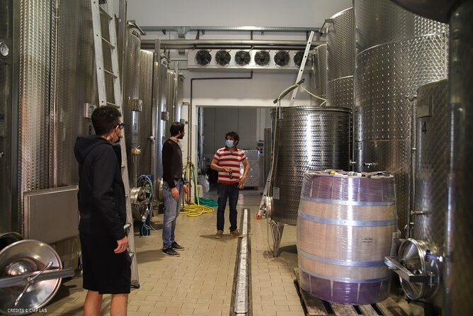 vineyard-tour-and-tasting-of-lugana-wines