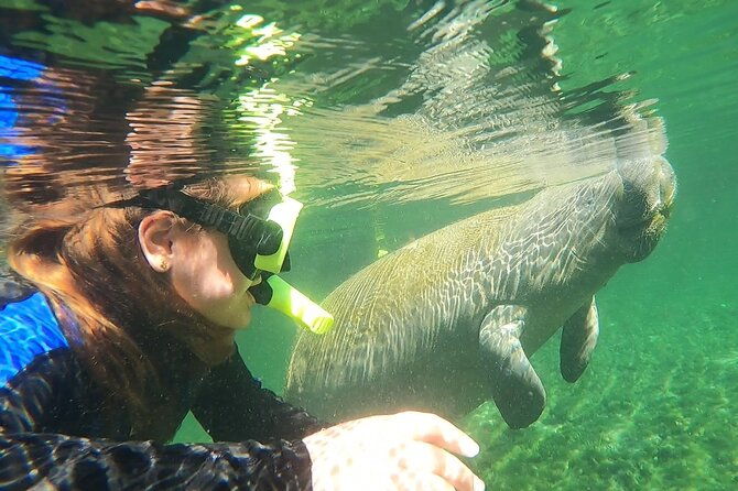 vip-private-boat-manatee-snorkel-tour-with-in-water-guide-and-photograper-2