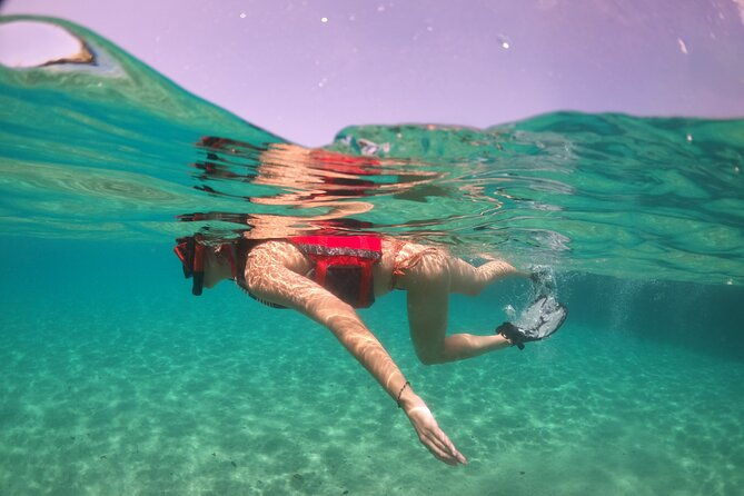 vip-san-juan-snorkeling-tour-with-turtles-with-free-videos