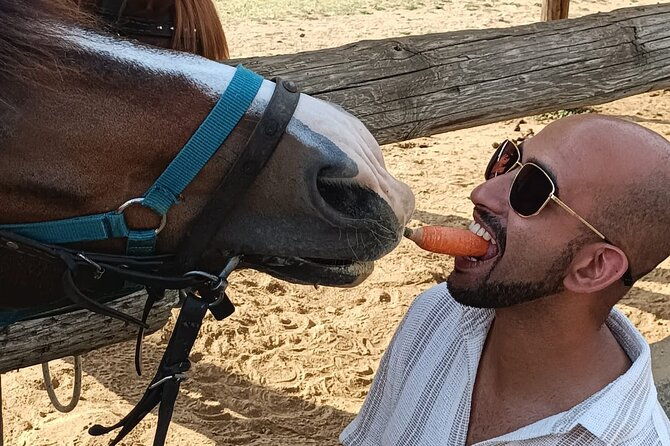 visit-a-farm-and-horseback-riding-in-nature-2