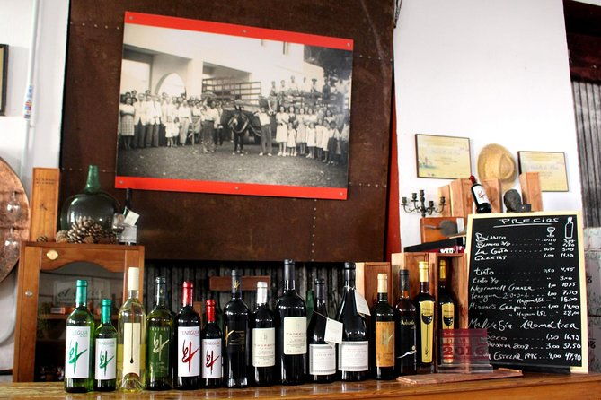 visit-bodegas-teneguia-winery-in-la-palma-with-wine-tasting